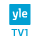 Yle TV1