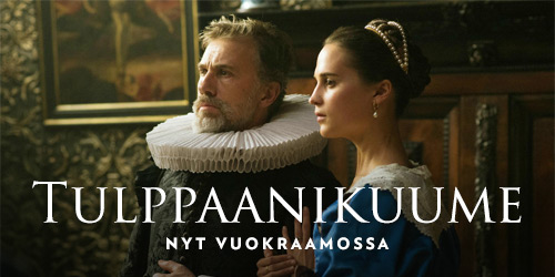 1600-luvun alun Alankomaihin sijoittuvassa romanttisessa draamaelokuvassa taidemaalari rakastuu nuoreen naimisissa olevaan naiseen, jonka muotokuvaa hänet on palkattu maalaamaan.